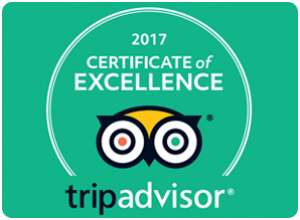 Trip advisor Certificate of excellence